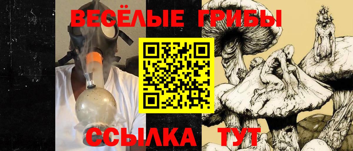Псилоцибиновые грибы мицелий Стрежевой