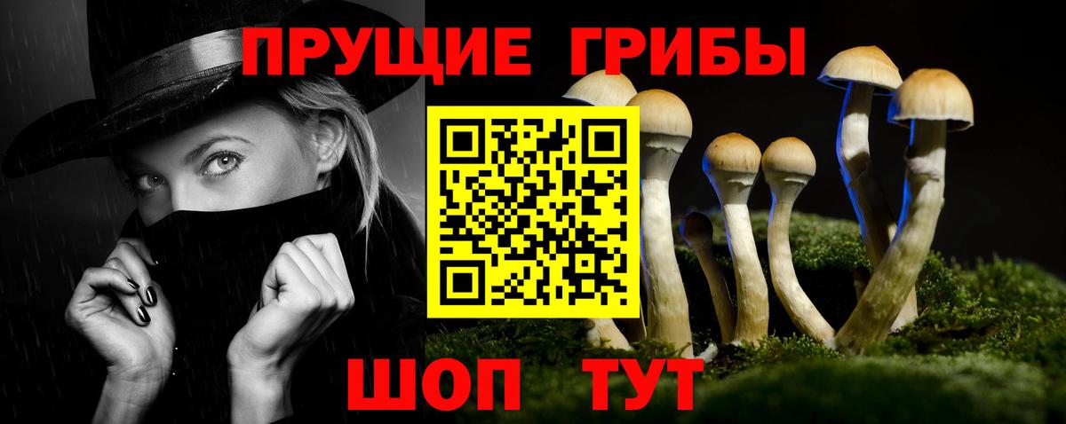 Галлюциногенные грибы прущие грибы  Псилоцибиновые грибы Cubensis  Стрежевой  Вход с VPN 